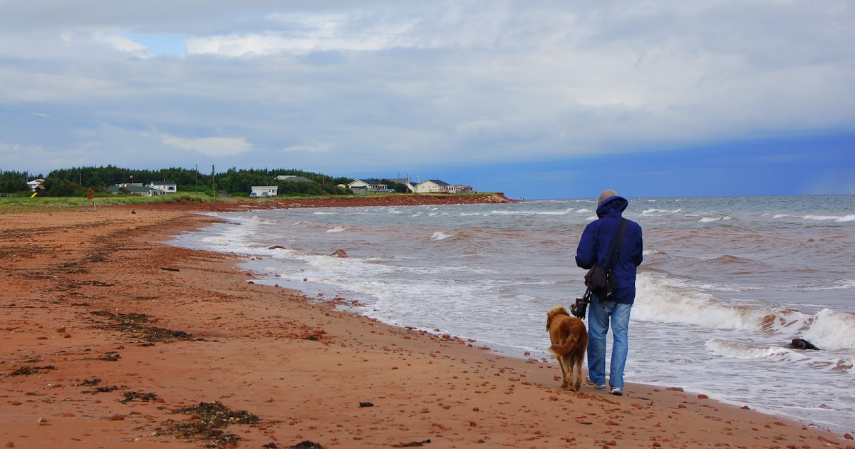 "from sophie's view" Back Home from Savage Harbour, P.E.I.