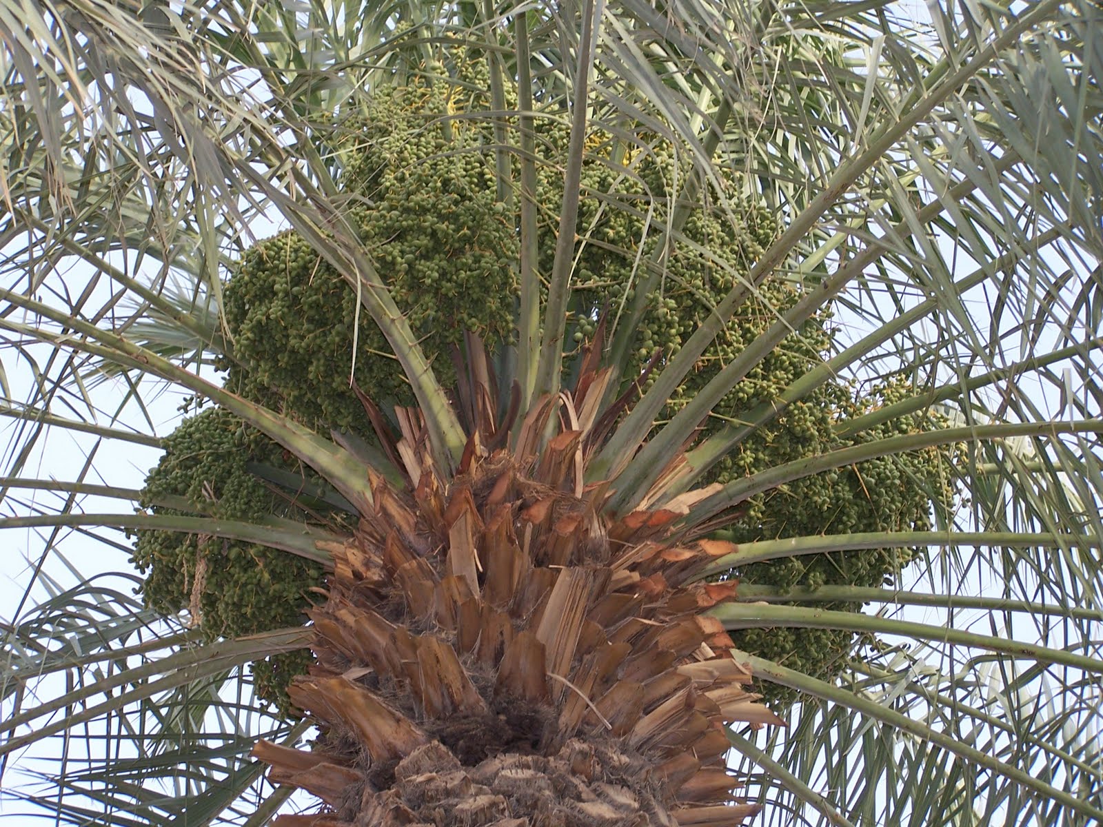 Family On the Go: Springtime in Saudi Arabia