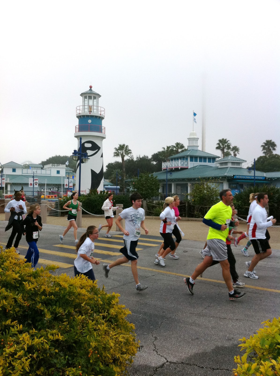 My (Fun!) Life in Orlando Reindeer Run at Sea World Orlando