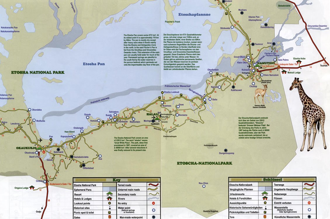 DEL ATLANTICO AL INDICO