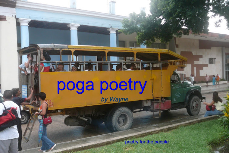 poga poetry