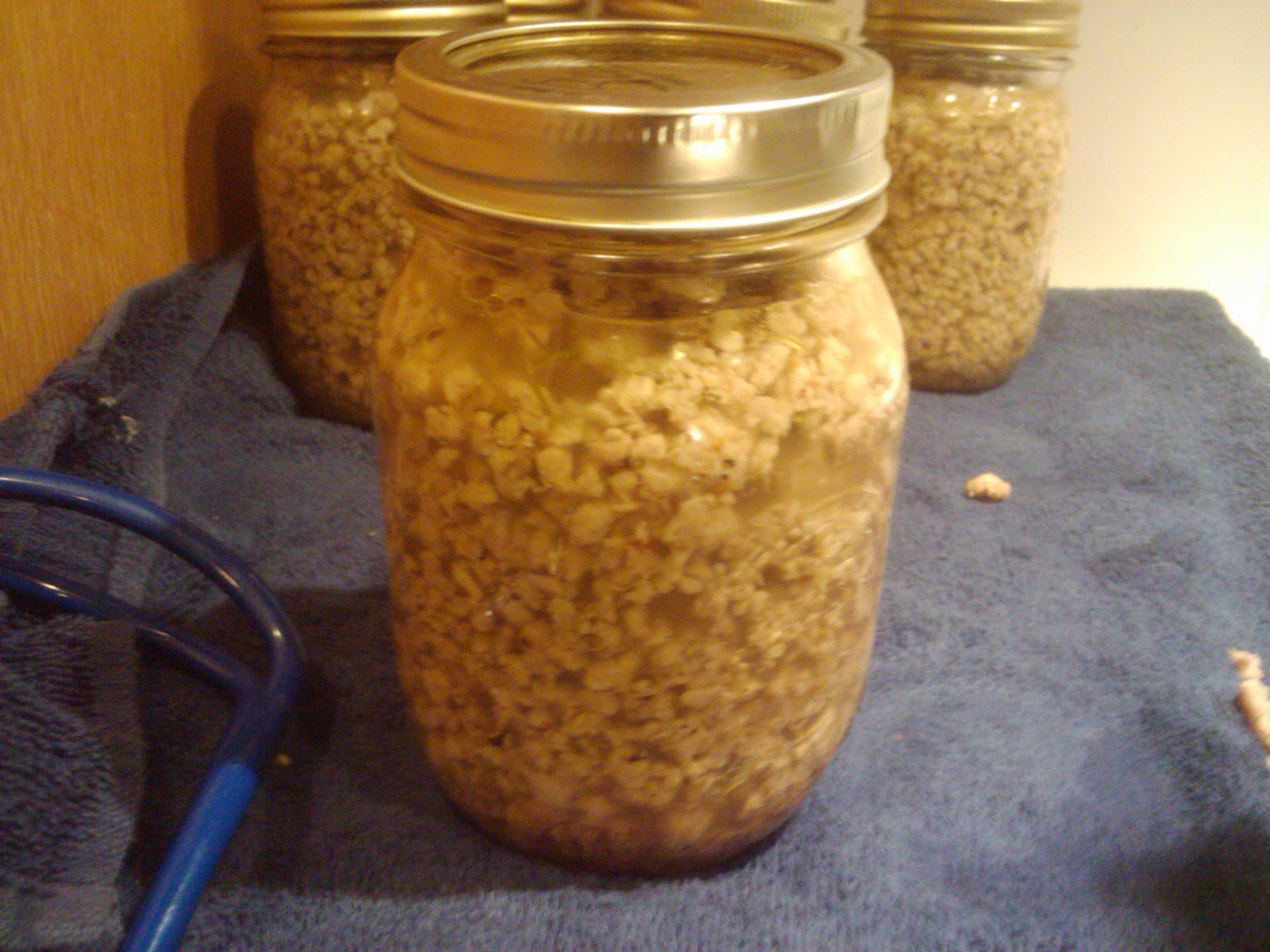 Accept The Challenge Home Canned Burger