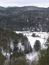 The Valley in Winter