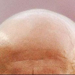 [15052007152910_502_475969kel[1].jpg]