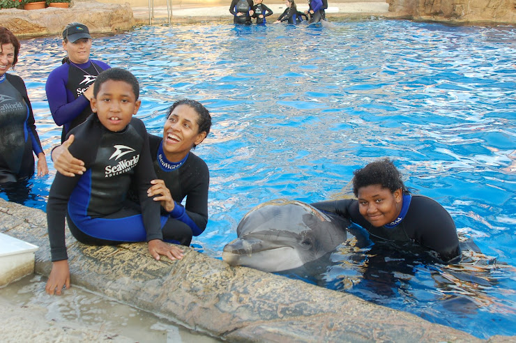 Swiming with Dolphins