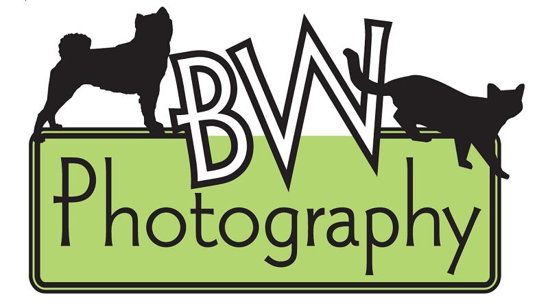 BW Pet Photography