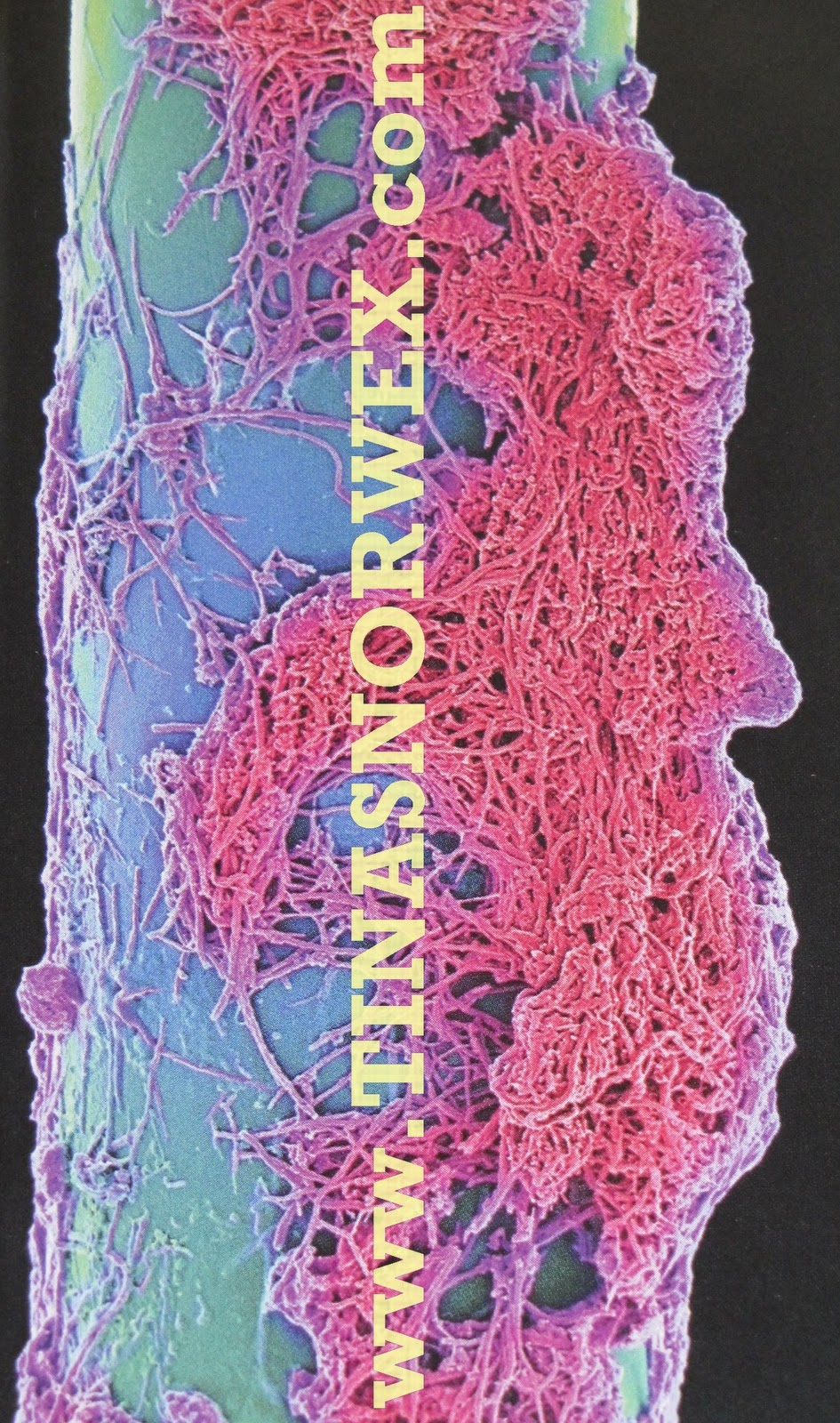 Tinas Norwex Blog Product Reviews & Green Cleaning Tips Norwex