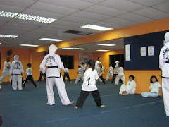 Kelas Tae-kwan-do