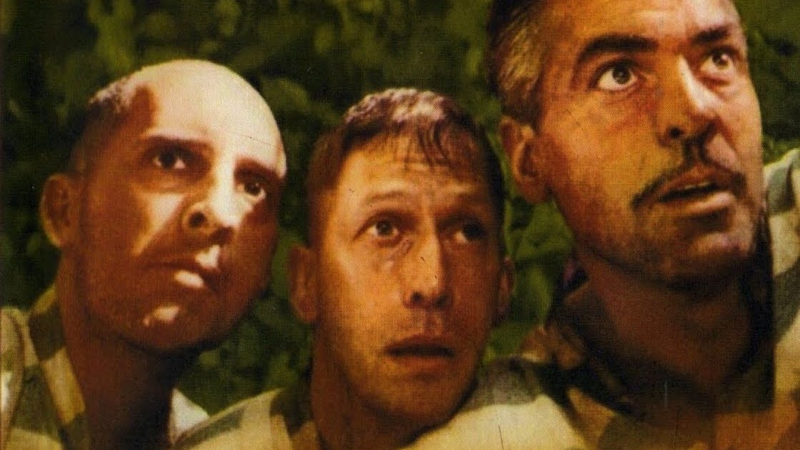 Videoteca Parque Rodo DONDE ESTAS HERMANO?