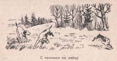 Найти зайца на картинке с охотником