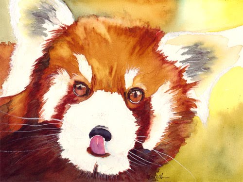 Красная панда рисунок акварелью