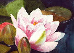water lily watercolor lilies bunny artwork pound arches yesterday inches should posted paper