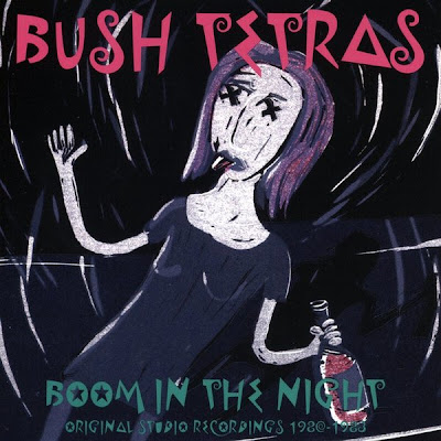 Download: Bush Tetras - Boom in the Night