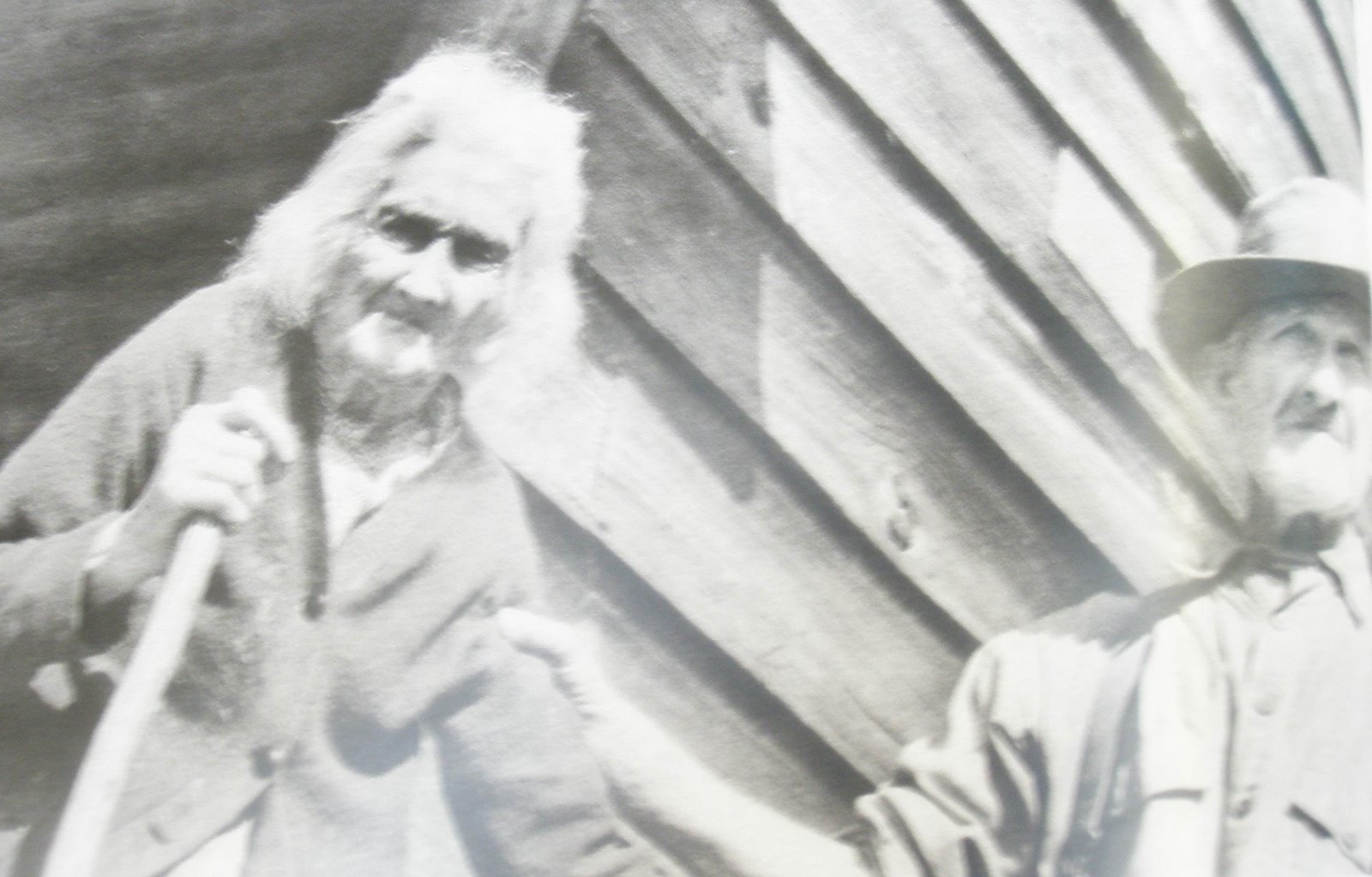 [Old+Yet+&+Matty+Hotailling.JPG]