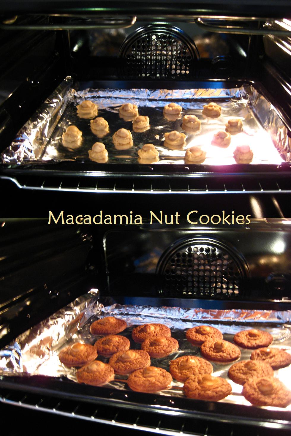 [macadamia+cookies.jpg]