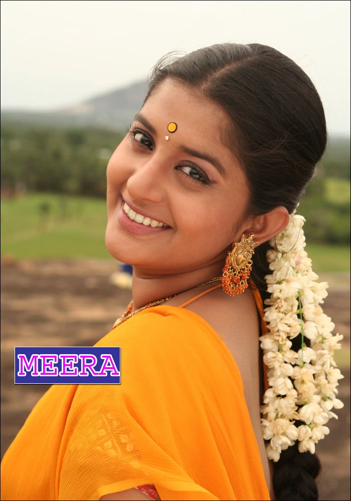 [MEERA+11.jpg]