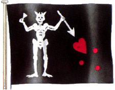 Blackbeard's Flag