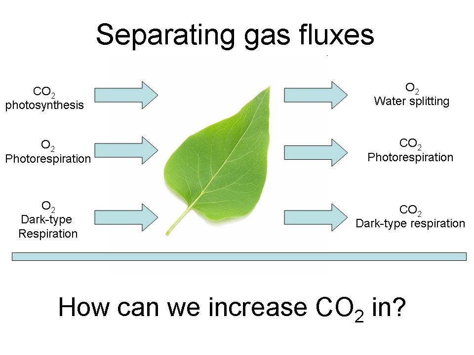 The Legend of Berkley