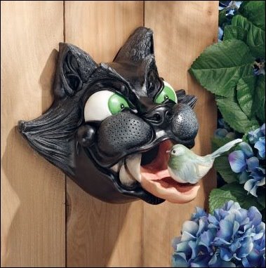 [weirdcatbirdhouse.jpg]