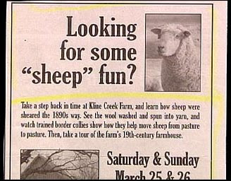 https://2.bp.blogspot.com/_-dk1axrNmqU/SWTB4NiXWMI/AAAAAAAAGc4/azeRxsvWg5Q/s400/sheepfun.jpg