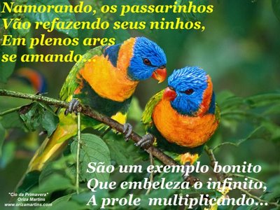 [slide-cio-primavera-4.jpg]