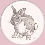 Bunny I drew
