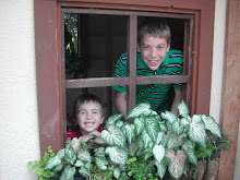 Looking out window from small cottage