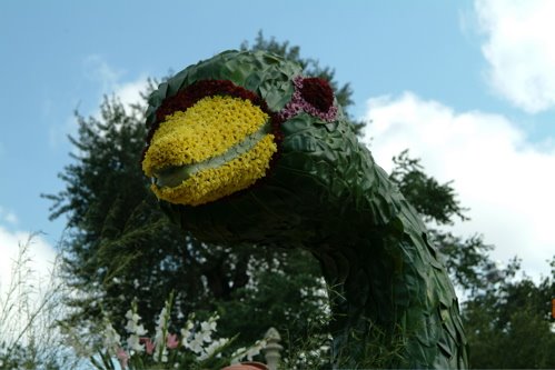 [BF+Carroza+Alb+det.jpg]