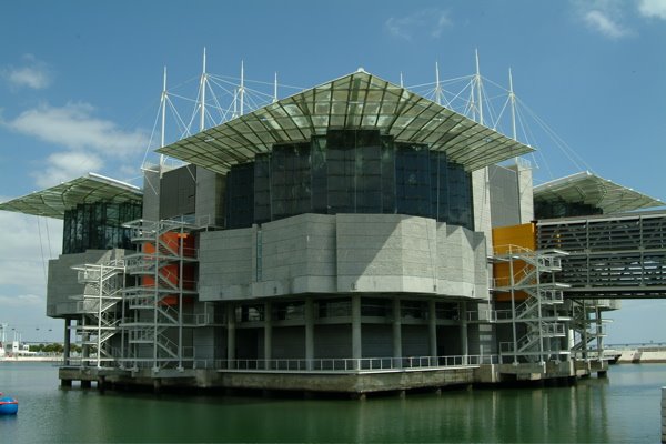 [A+P+Nac+Oceanog.jpg]