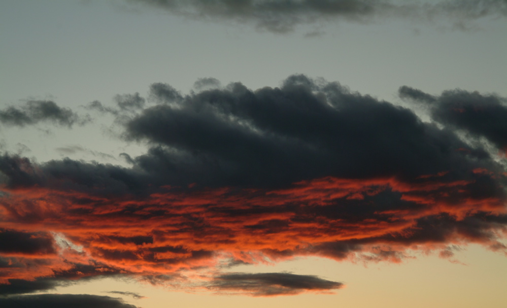 [a+nuben+rojo+vivo.jpg]