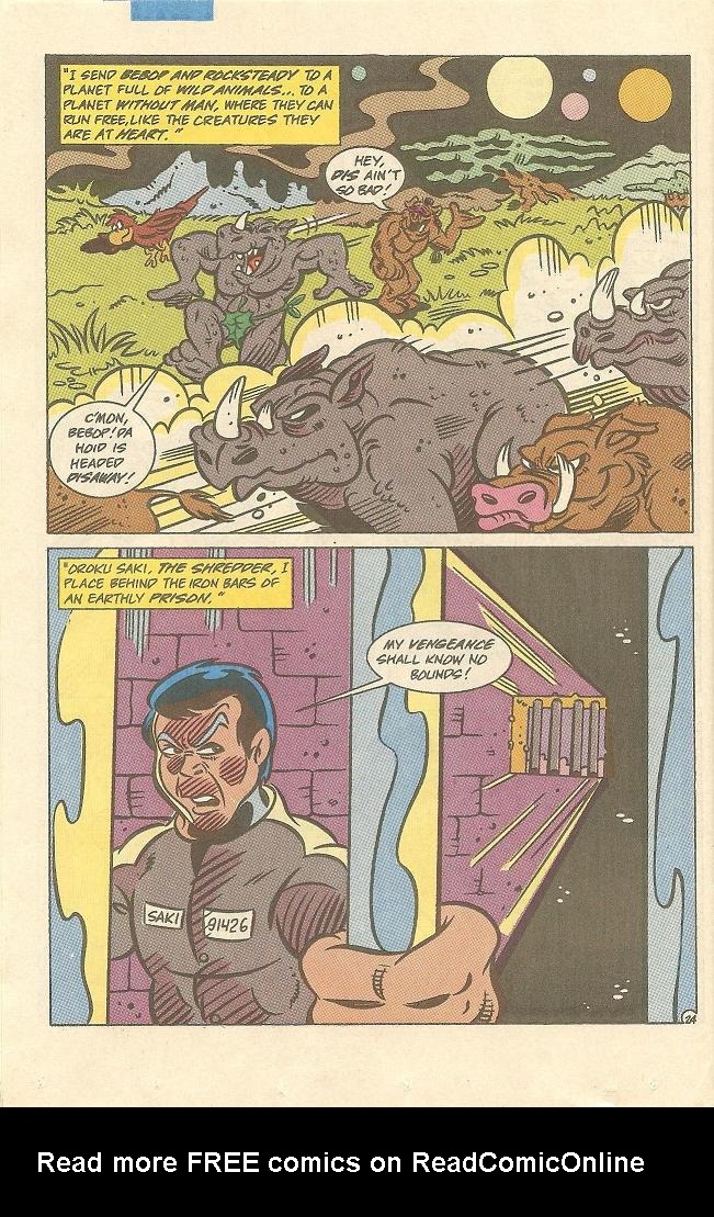 Read online Teenage Mutant Ninja Turtles Adventures (1989) comic -  Issue #13 - 25