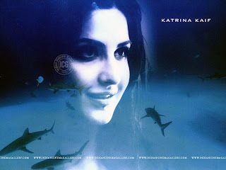 Indian Cinema Gallery: Hindi Movie &lsquo;Blue&rsquo; Wallpapers, images, pictures