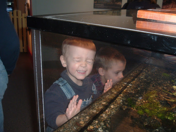So Excited About the Sea Creatures