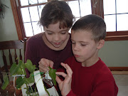 Busy Studying Monocots and Dicots...