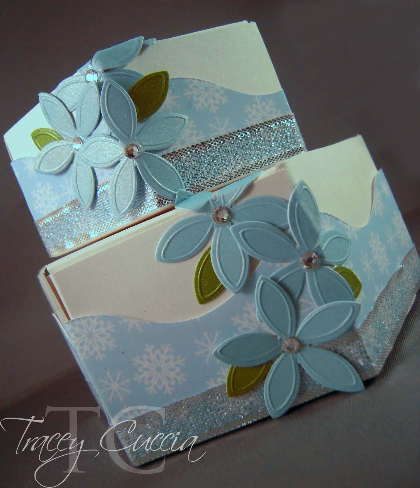 [TCuccia_JUGS13.jpg]