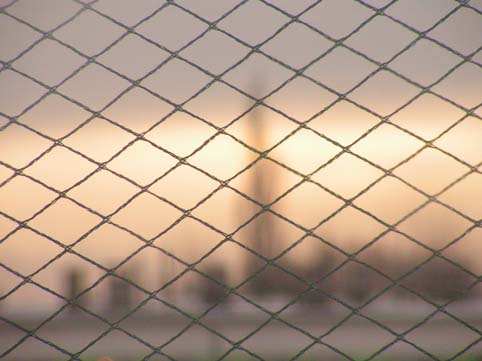 [PICT0165.JPG]