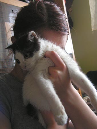 [PICT0013.jpg]