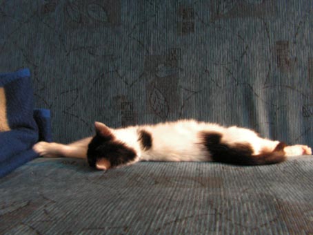 [PICT0061.jpg]