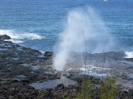 The Waterhorn