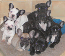 The Brindle Club