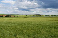 Primavera en Moratinos