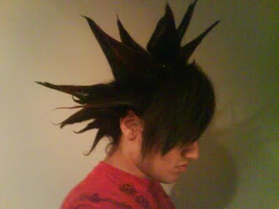 Emo Punk Hairstyles For Guys.