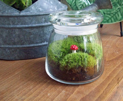 exo terra terrarium 90x45x60 gebraucht