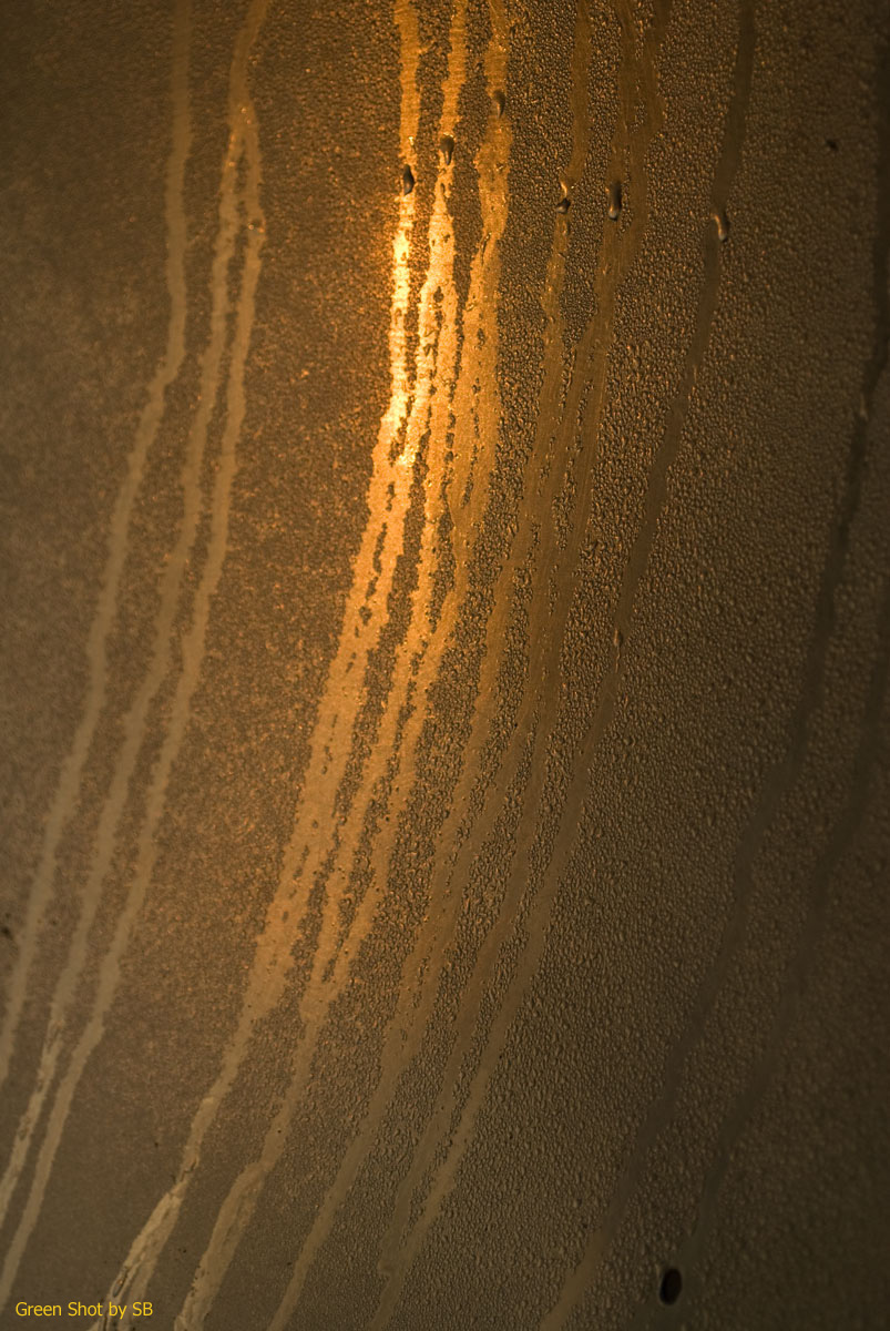 [Parco-di-Monza-10042009_022+copia.jpg]