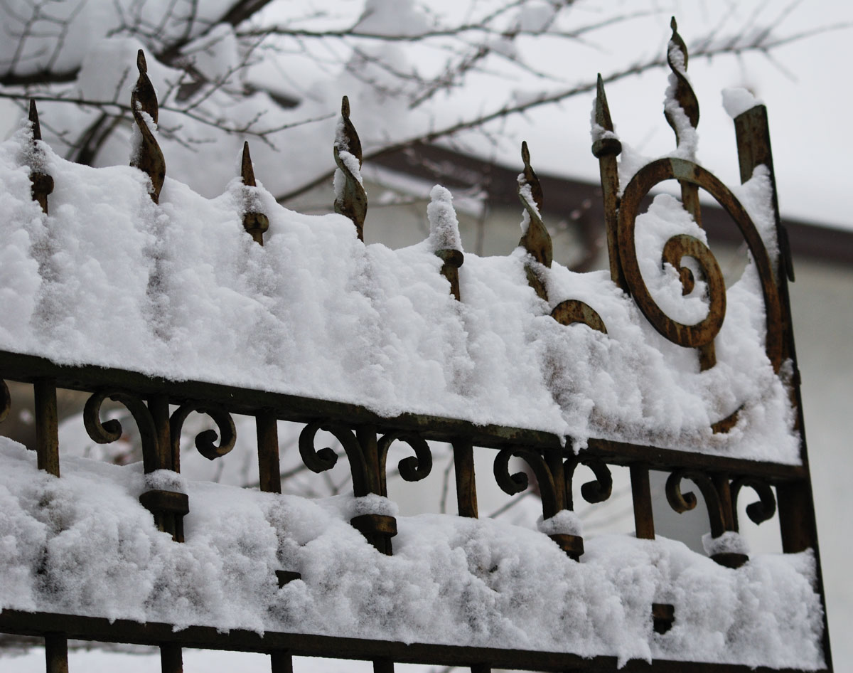 [lissone_031_221209.jpg]