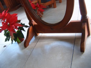 MUNDOALGARROBO: ESPEJO DE PIE