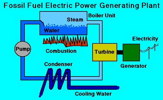 Electricity Generation Plants: December 2010