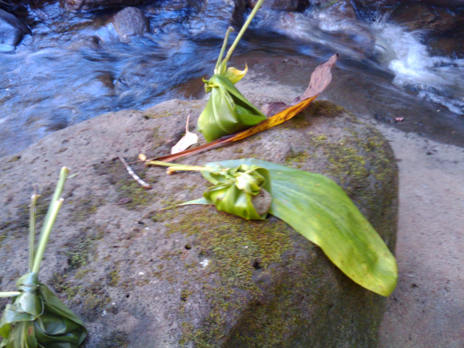 Where is Dave Wu Waiomao Stream Trail / Waimao Falls Trail