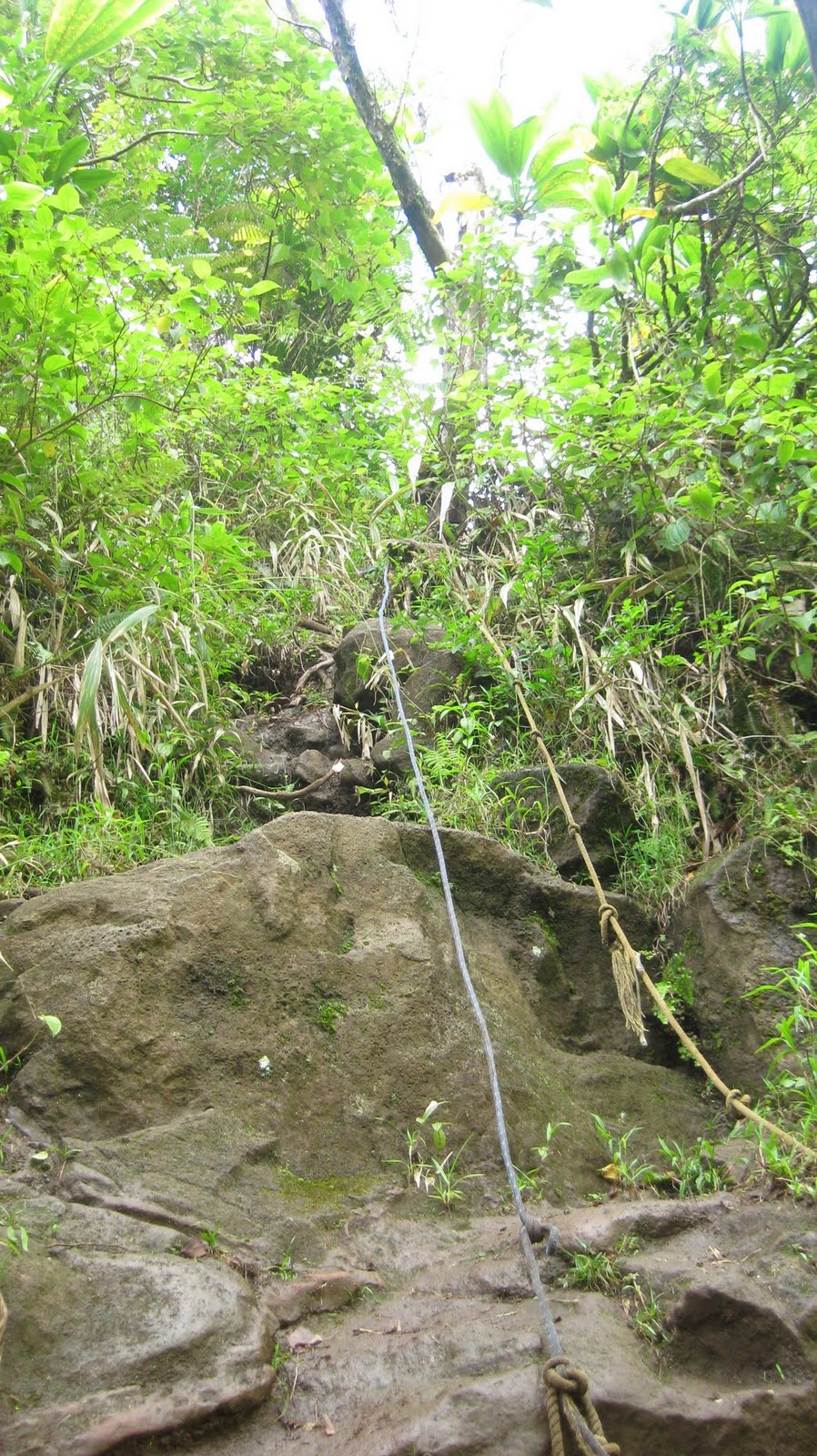 Where is Dave Wu Waiomao Stream Trail / Waimao Falls Trail
