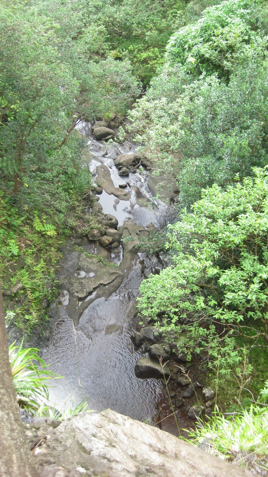 Where is Dave Wu Waiomao Stream Trail / Waimao Falls Trail